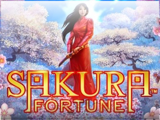 Sakura Fortune